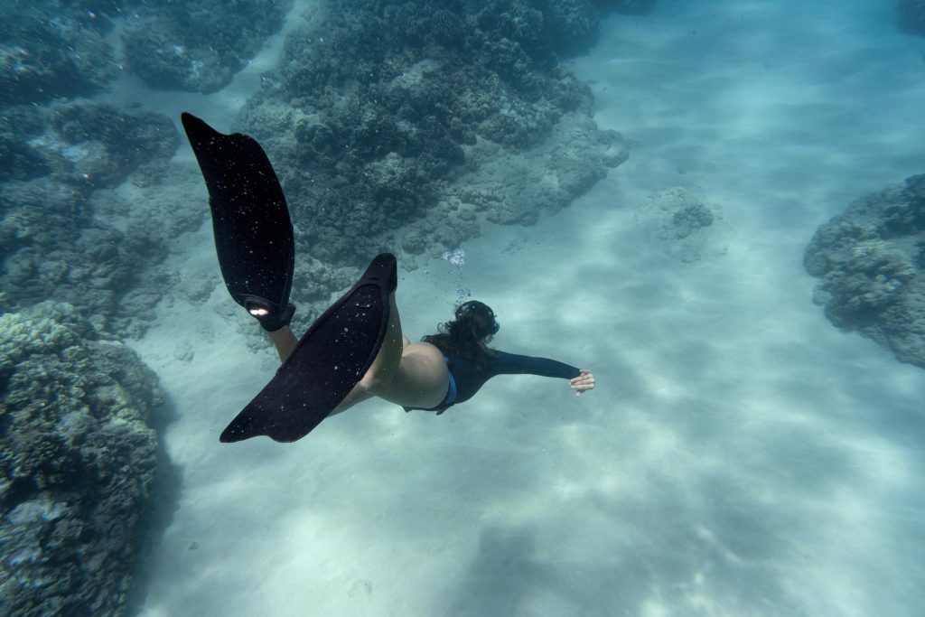 Memorable underwater moments captured by underwater drone