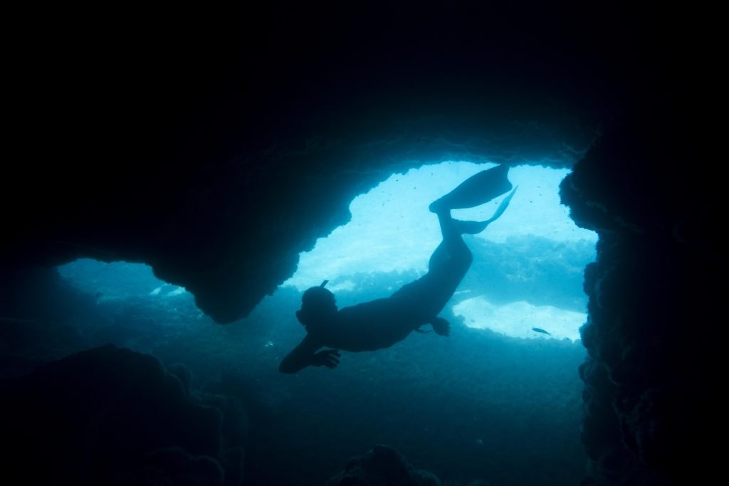 Special moment captured with the Underwater drone